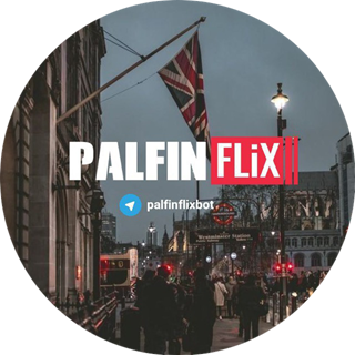 PalfinFlix Logo